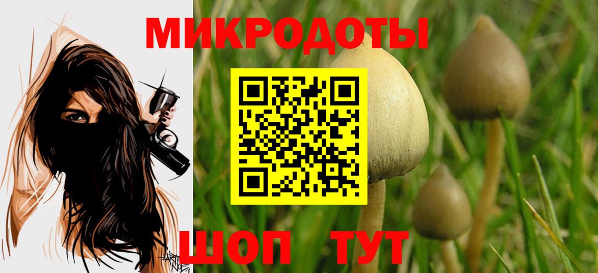 Галлюциногенные грибы Cubensis  Галлюциногенные грибы MAGIC MUSHROOMS  Вход с VPN  Краснознаменск 
